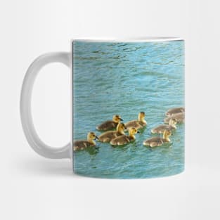 Family of young Geese Goslings Swimming Together Mug